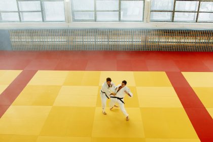L’Aïkido, un art martial japonais pour les débutants L’Aïkido, un art martial japonais pour les débutants