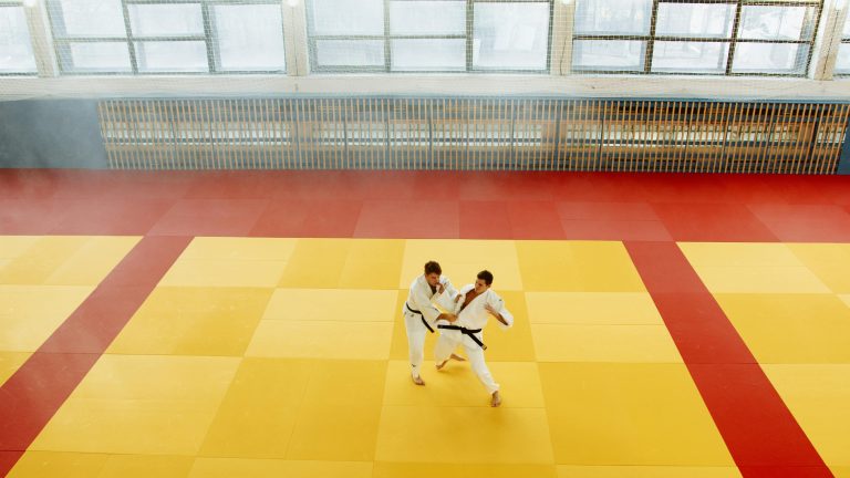 L’Aïkido, un art martial japonais pour les débutants